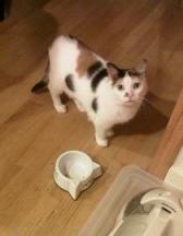 You couldn't sell me - I'm priceless!