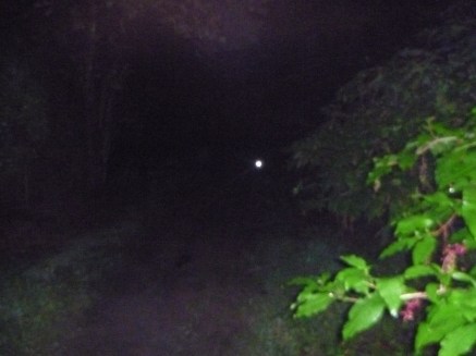 Trail - Saturday morning