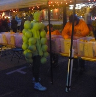 Costume - Bunch of Grapes