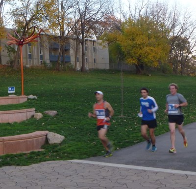 Tree Forms-West Park 2