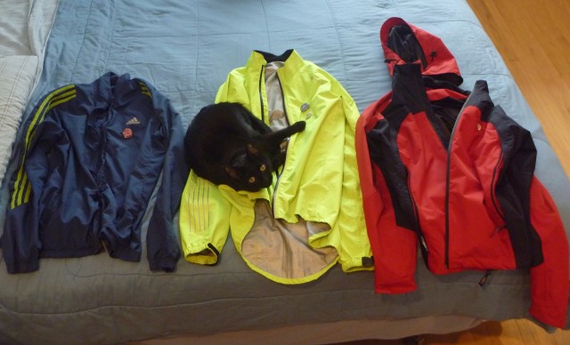 Cat neck wrap is an optional accessory.