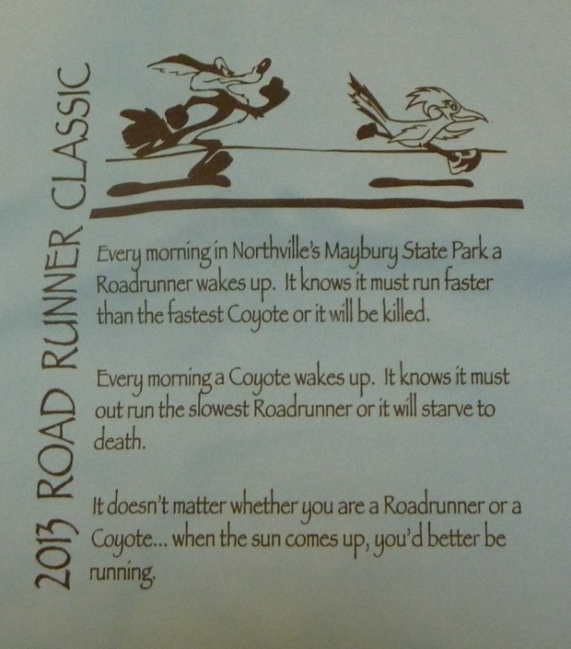 Race shirt - proverb