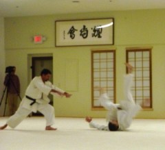 Have you learned yet, grasshopper?