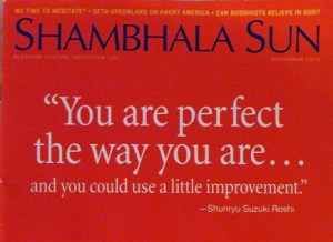Shambhala Sun - You Are Perfect