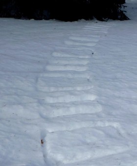 What caused these mysterious tracks? Answer at the end of this post.