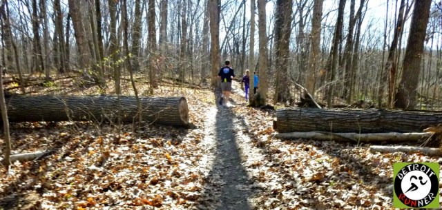 Downed trees are another feature of trail running. At least this one was cut - they aren't always.