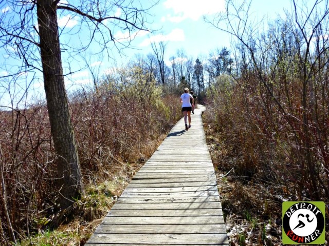To get over swampy areas, there are boardwalks. Sometimes.