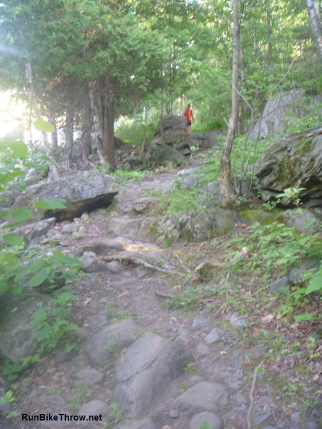 Voyageur - Treacherous Trail