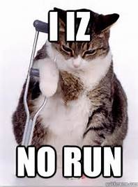 I Iz No Run - Bing Images