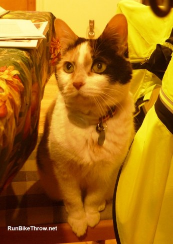 It's a good thing she's so damn cute.