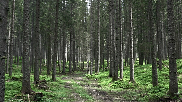 You know you're in trouble when you see each of these as a potential toilet.